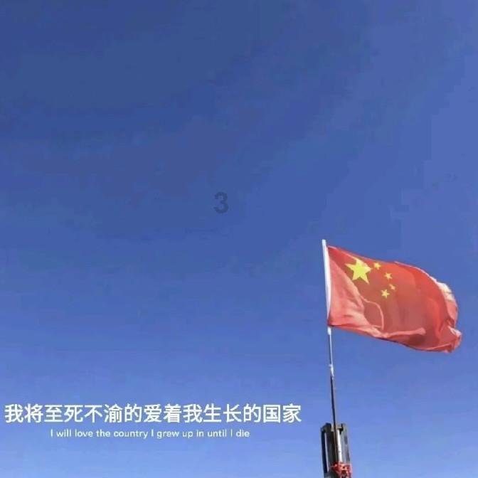 小猫钓鱼正版下载中文版