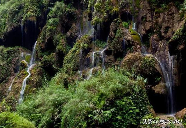 救援受困的小恐龙